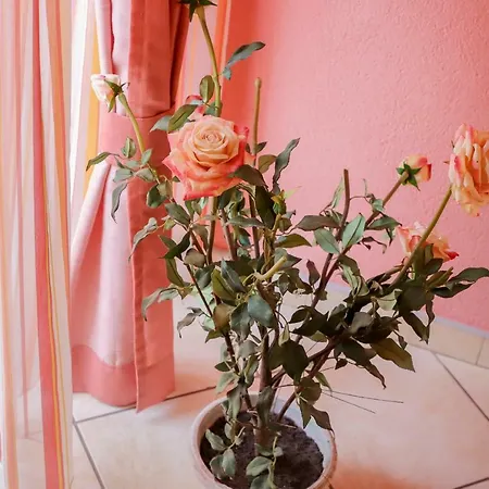 Crvena Jabuka * Kljuc