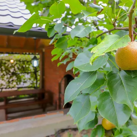 Crvena Jabuka Appartamento Kljuc