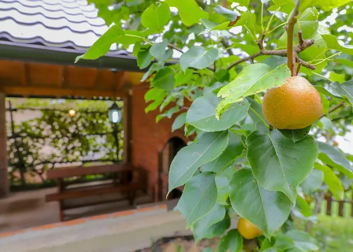 Crvena Jabuka Apartamento Kljuc